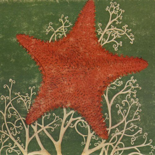 CD диск Blithe Sons: Arm of the Starfish 
CD диск Blithe Sons: Arm of the Starfish