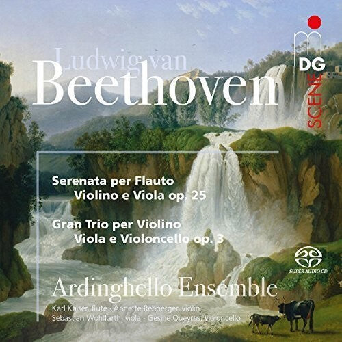 CD диск Ardinghello Ensemble: Beethoven: Serenade And String Trio
CD диск Ardinghello Ensemble: Beethoven: Serenade And String Trio