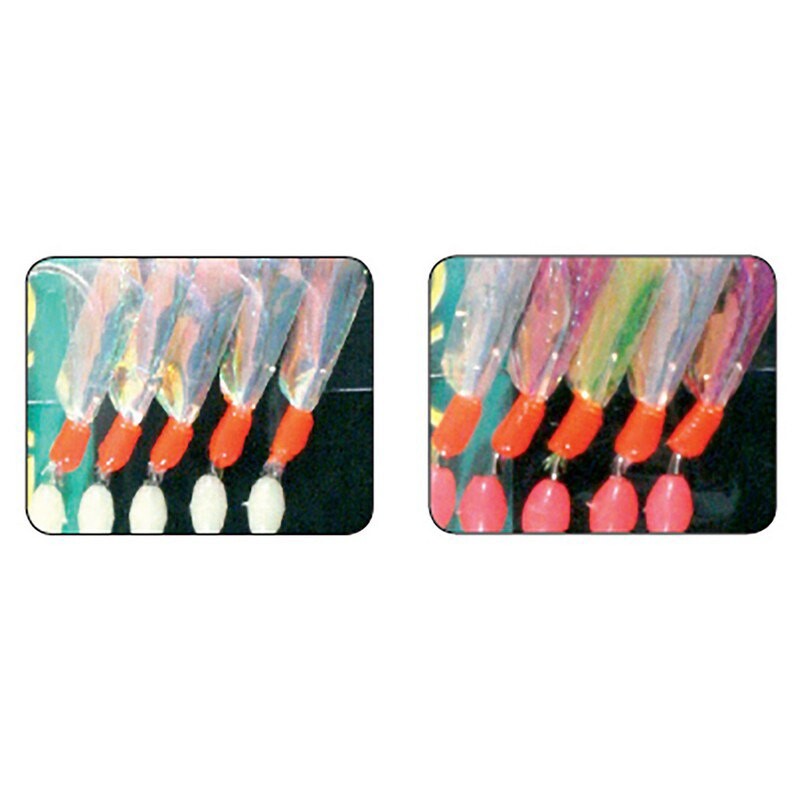 Оснастки Ragot Mitraflash Aurora, разноцветный
Оснастки Ragot Mitraflash Aurora, разноцветный