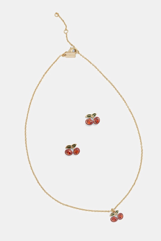 Ожерелье и серьги Coach, золотой
Ожерелье и серьги Coach, золотой