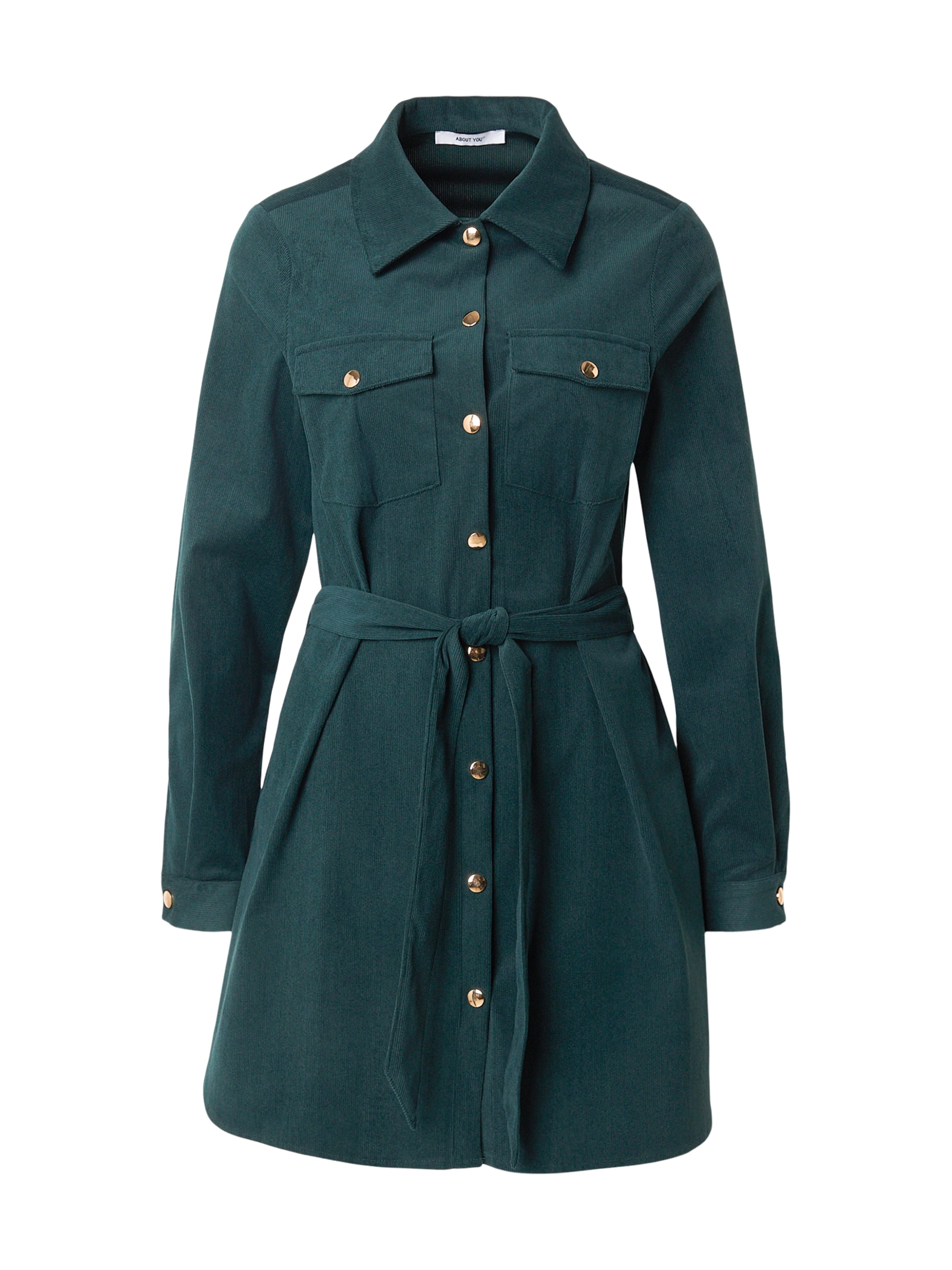 ABOUT YOU Платье-рубашка 'Farina' в темно-зеленом цвете
ABOUT YOU Платье-рубашка 'Farina' в темно-зеленом цвете