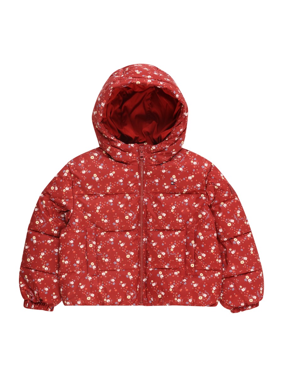 Зимняя куртка TOMMY HILFIGER, красный
Зимняя куртка TOMMY HILFIGER, красный