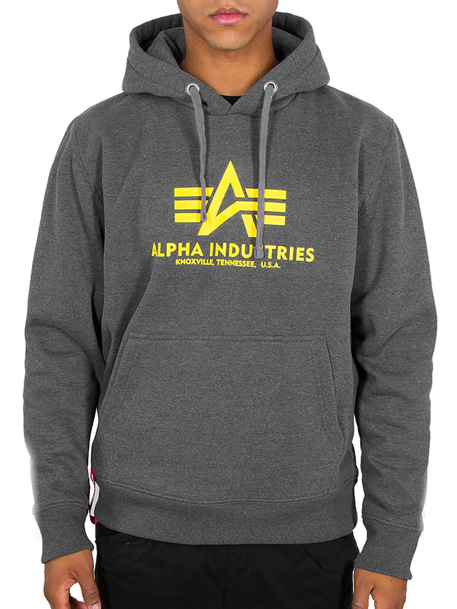 Толстовка ALPHA INDUSTRIES Basic Logo, серый
Толстовка ALPHA INDUSTRIES Basic Logo, серый