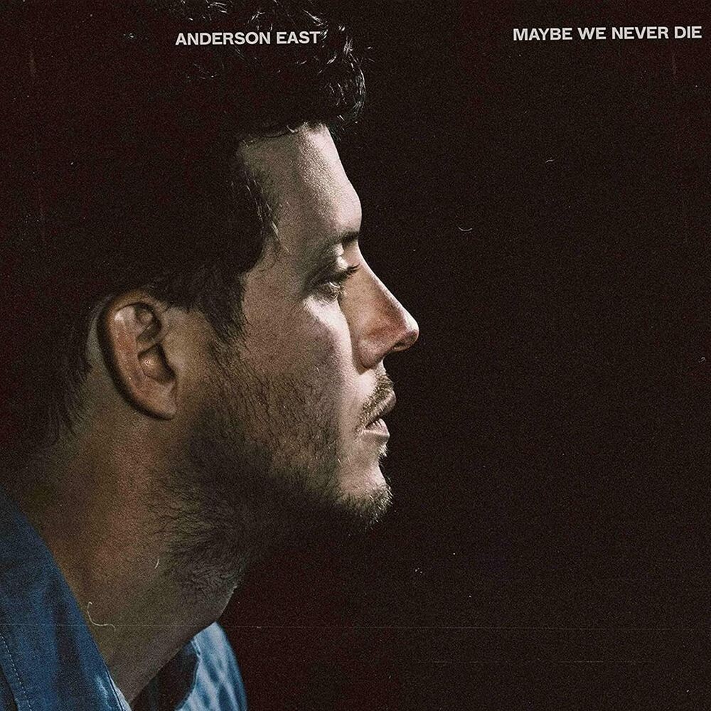 Виниловая пластинка LP Maybe We Never Die - Anderson East 
Виниловая пластинка LP Maybe We Never Die - Anderson East