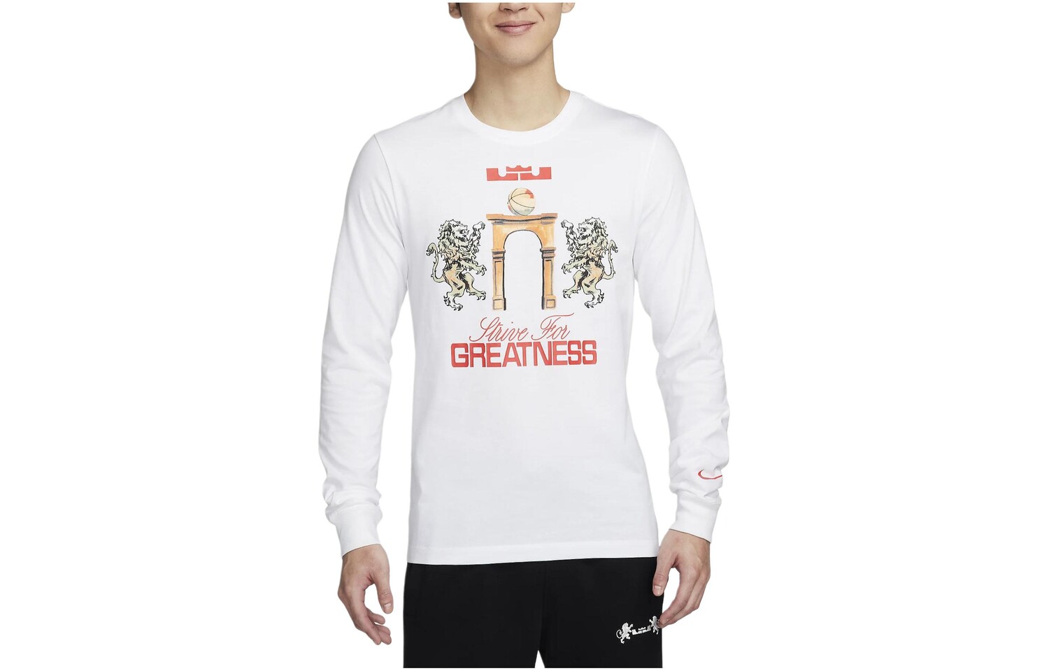 Футболка мужская белая Nike, белый
Футболка мужская белая Nike, белый