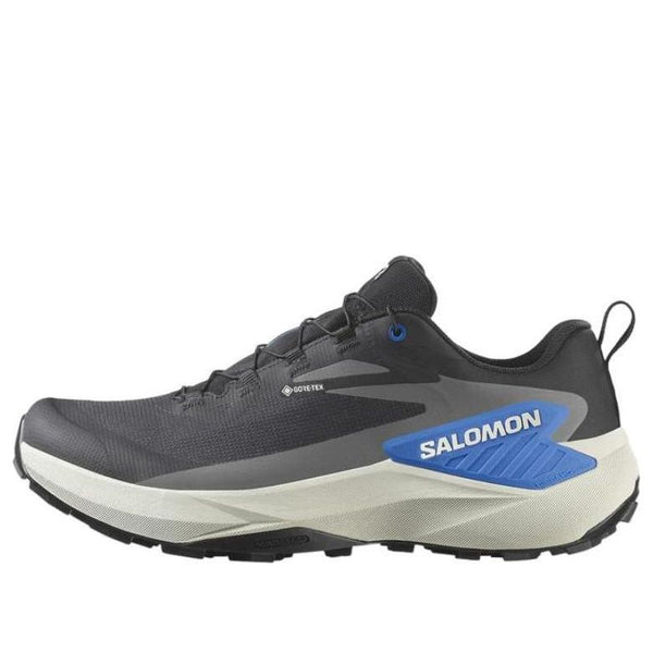 Кроссовки genesis gtx Salomon, черный
Кроссовки genesis gtx Salomon, черный