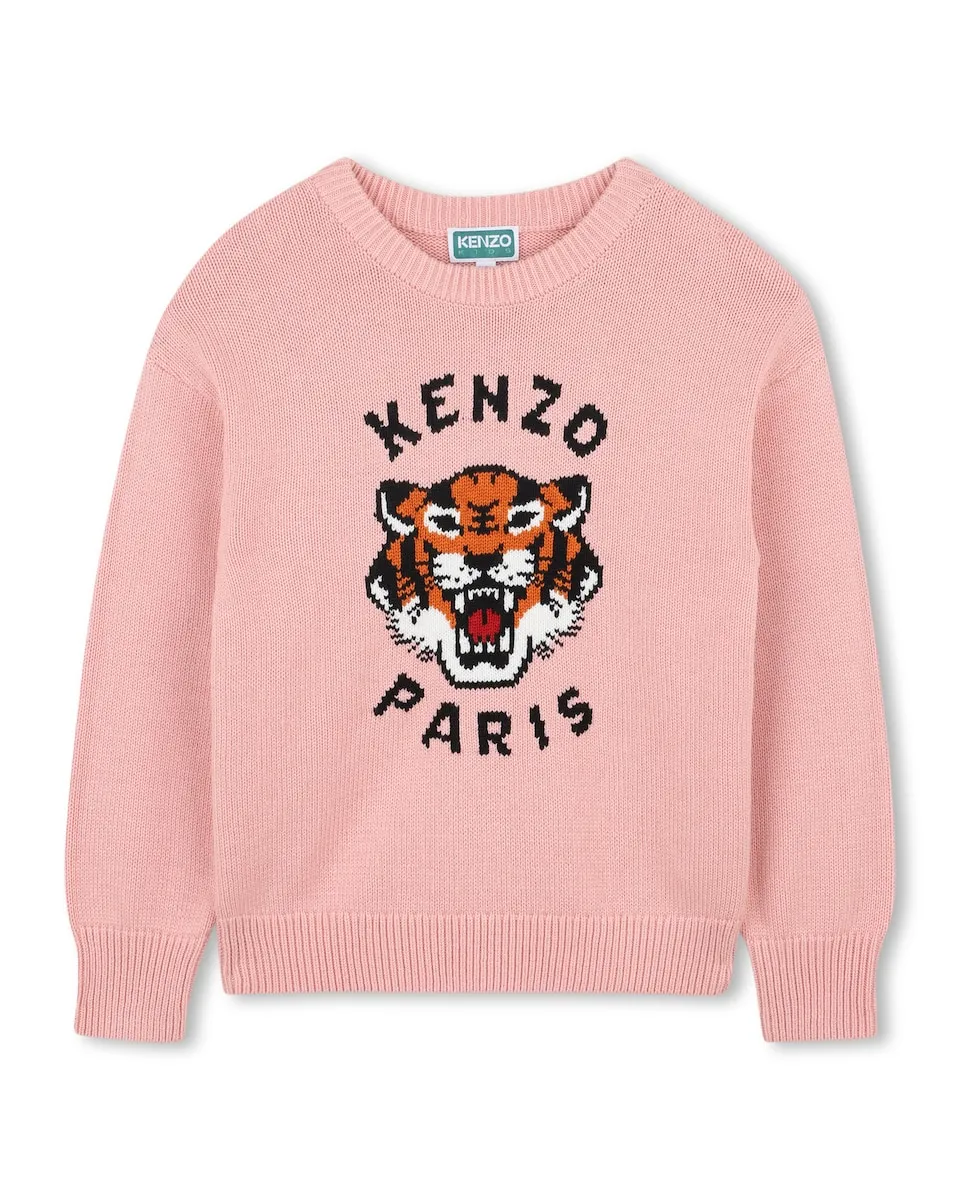 Розовый детский джемпер с длинными рукавами Kenzo Kids
Розовый детский джемпер с длинными рукавами Kenzo Kids