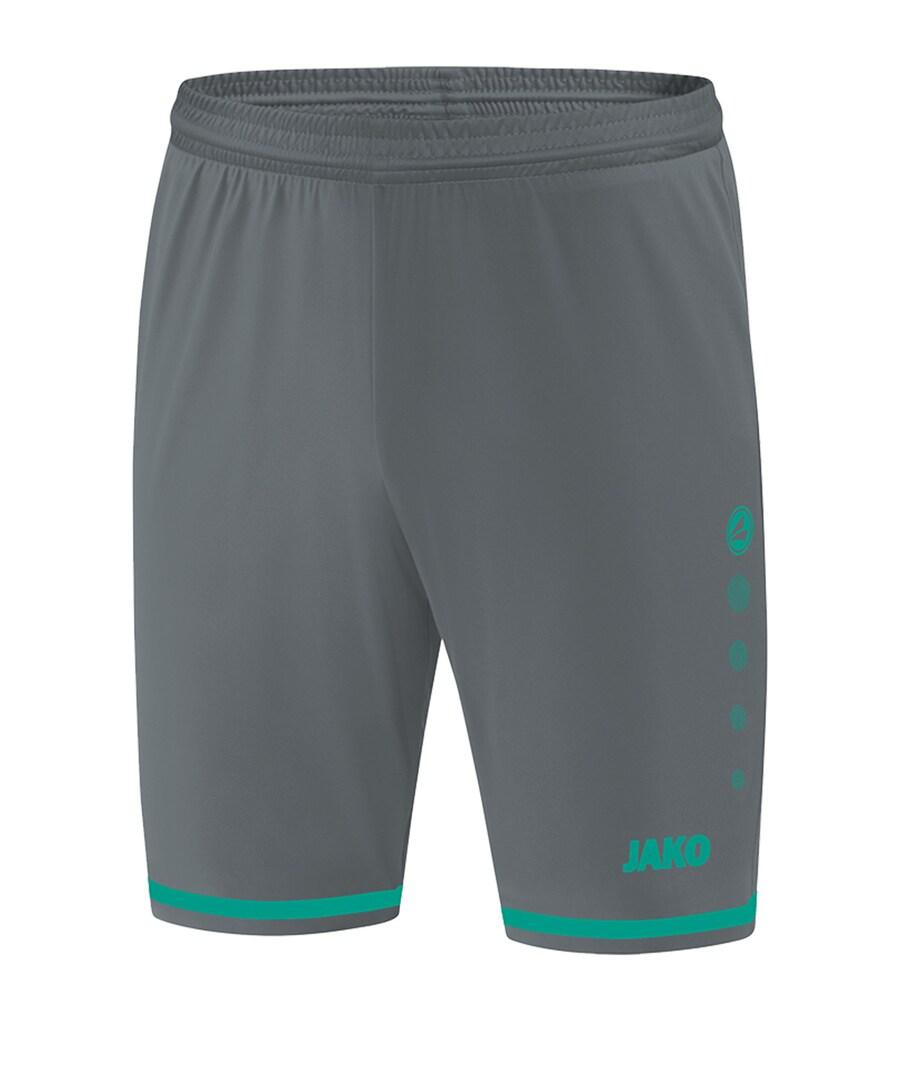 Обычные спортивные штаны JAKO Striker 2.0, серый
Обычные спортивные штаны JAKO Striker 2.0, серый