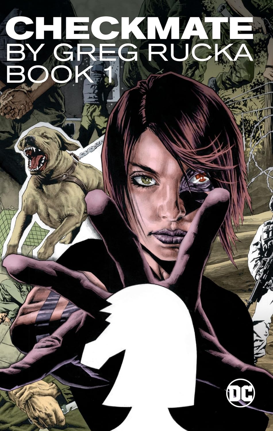 Checkmate by Greg Rucka Book 1 (DC Comics)
Checkmate by Greg Rucka Book 1 (DC Comics)
