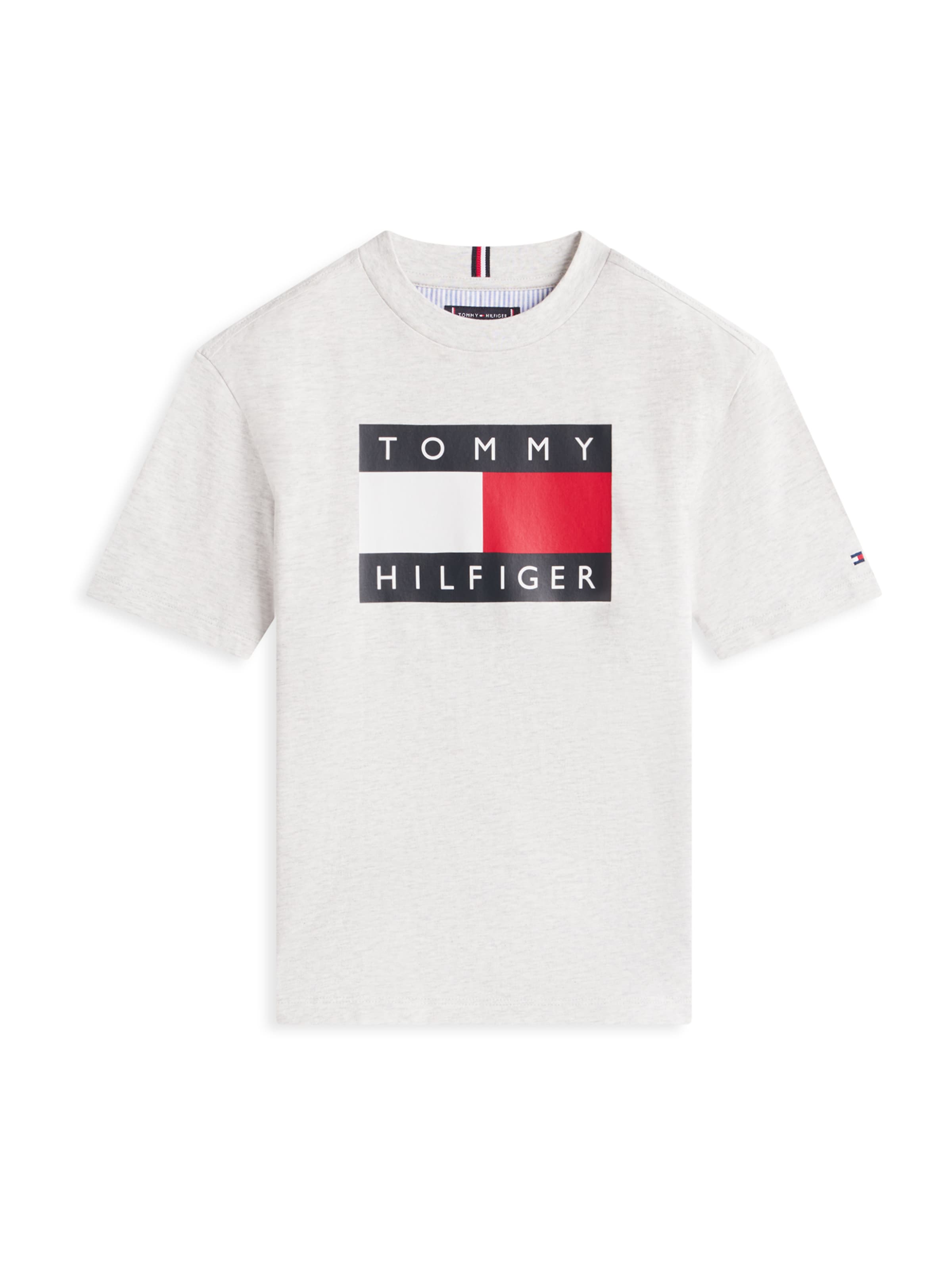 TOMMY HILFIGER Футболка 'HERITAGE' в светло-сером цвете
TOMMY HILFIGER Футболка 'HERITAGE' в светло-сером цвете