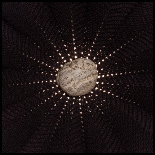 Виниловая пластинка Baldwin, Nat: In the Hollows
Виниловая пластинка Baldwin, Nat: In the Hollows