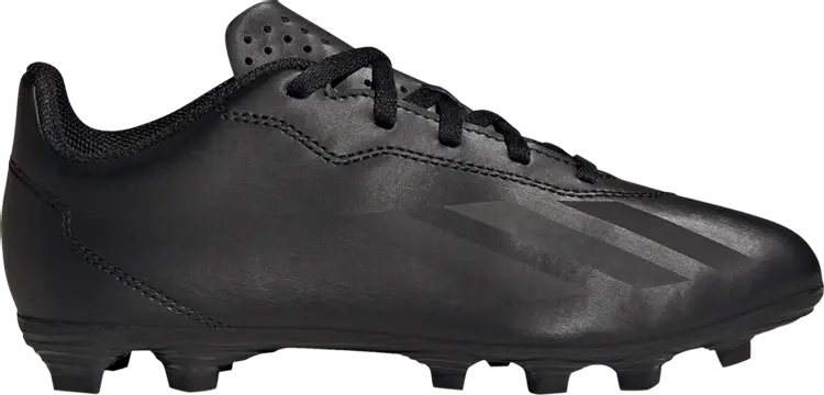 Кроссовки X Crazyfast.4 FG J 'Nightstrike Pack', черный
Кроссовки X Crazyfast.4 FG J 'Nightstrike Pack', черный