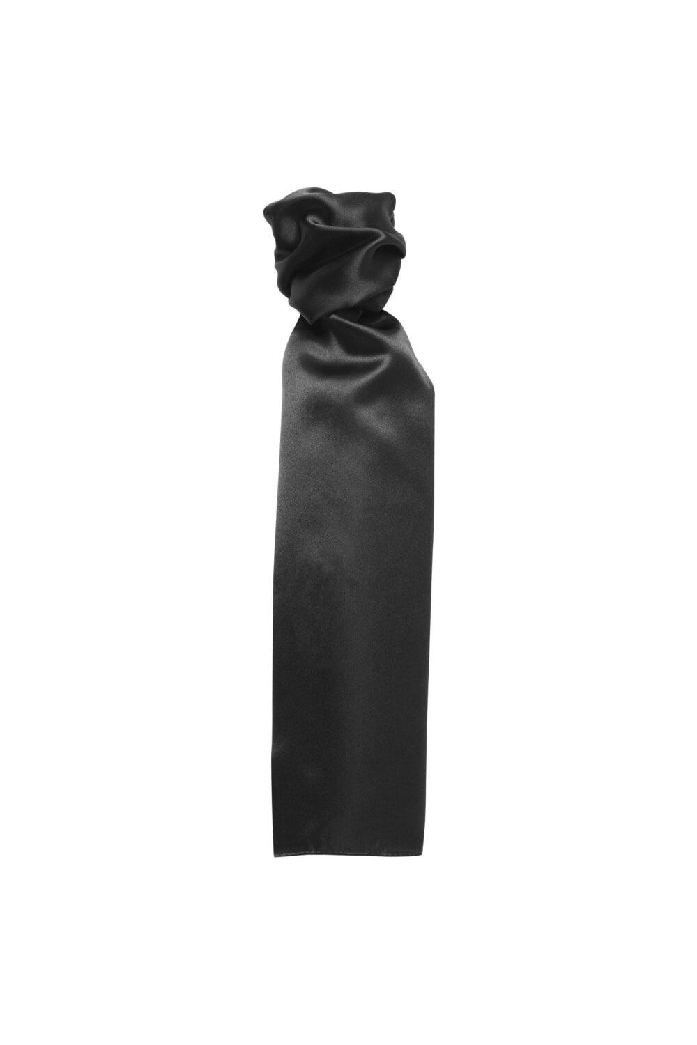 Шарф - Простой деловой шарф Premier, черный
Шарф - Простой деловой шарф Premier, черный