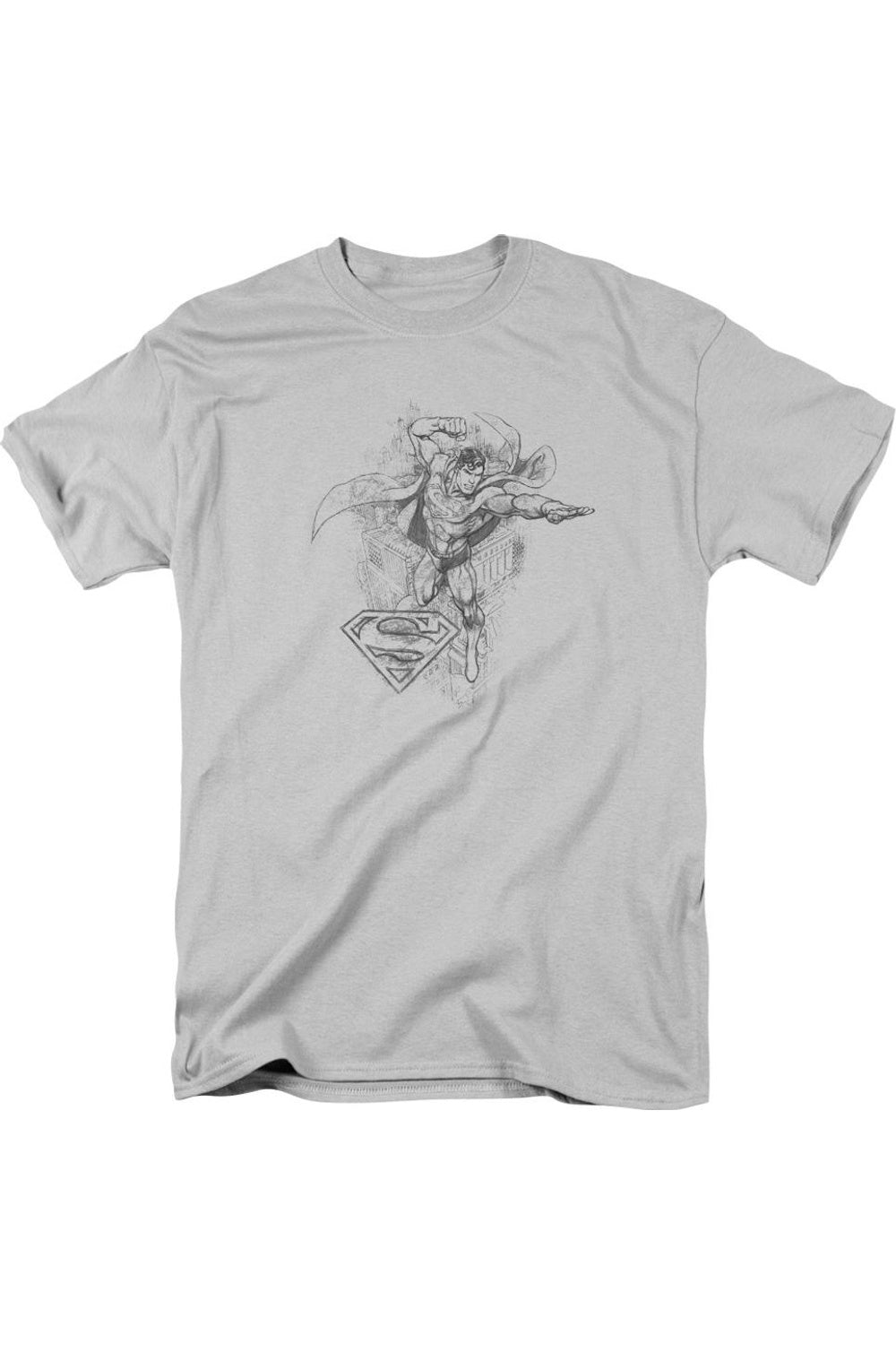 Футболка DC Comics Flying Flex с коротким рукавом для взрослых Gildan, серебряный
Футболка DC Comics Flying Flex с коротким рукавом для взрослых Gildan, серебряный