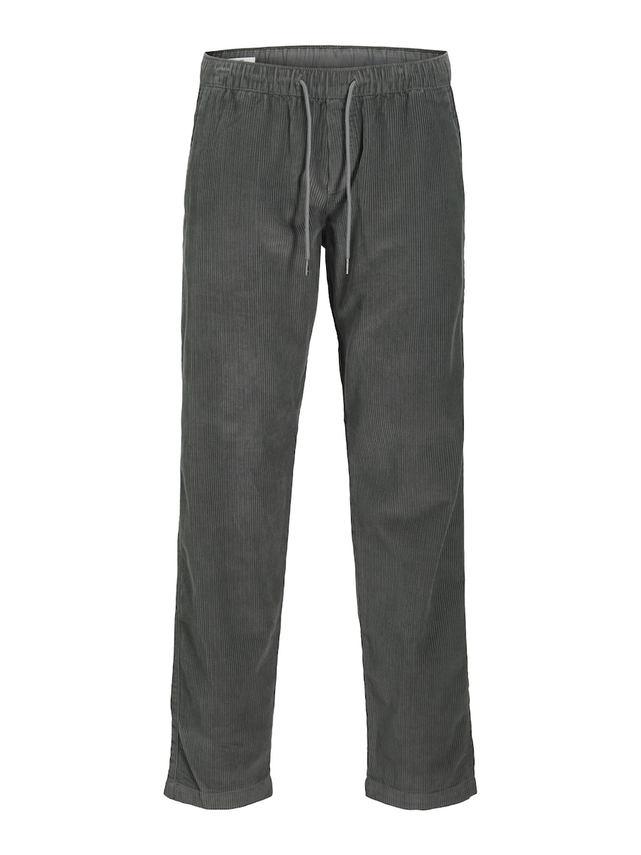 Брюки свободного кроя JACK & JONES JPSTKane, темно-серый
Брюки свободного кроя JACK & JONES JPSTKane, темно-серый