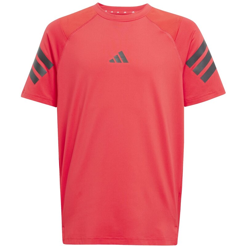 Футболка все спортивные NXT Kids Adidas, мультиколор
Футболка все спортивные NXT Kids Adidas, мультиколор
