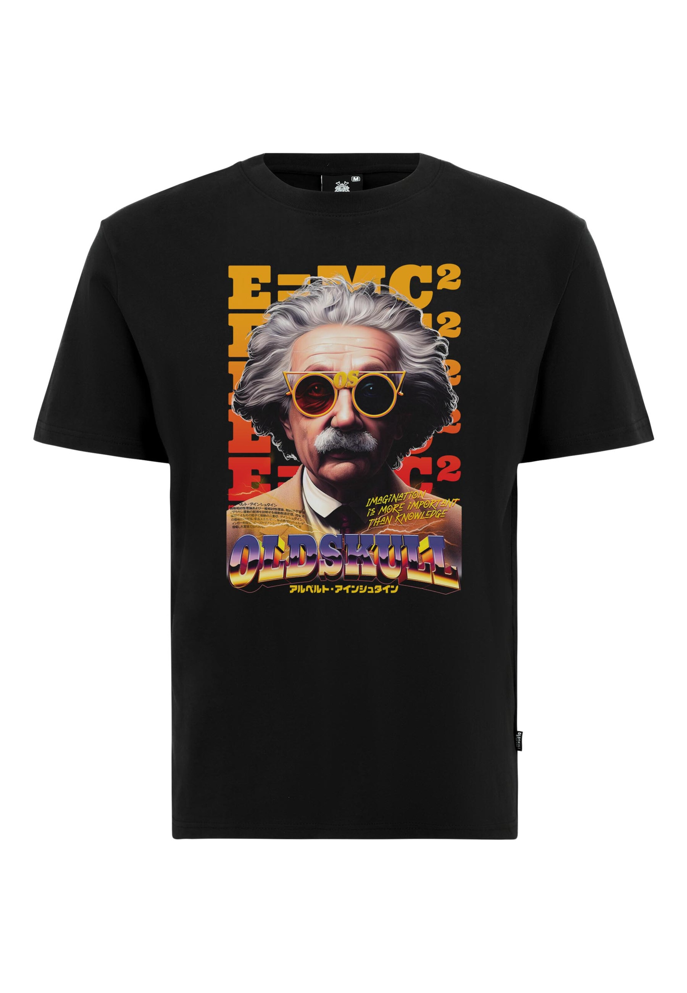 Oldskull Футболка 'Wrldvibe Einstein Graphic' в черном цвете
Oldskull Футболка 'Wrldvibe Einstein Graphic' в черном цвете