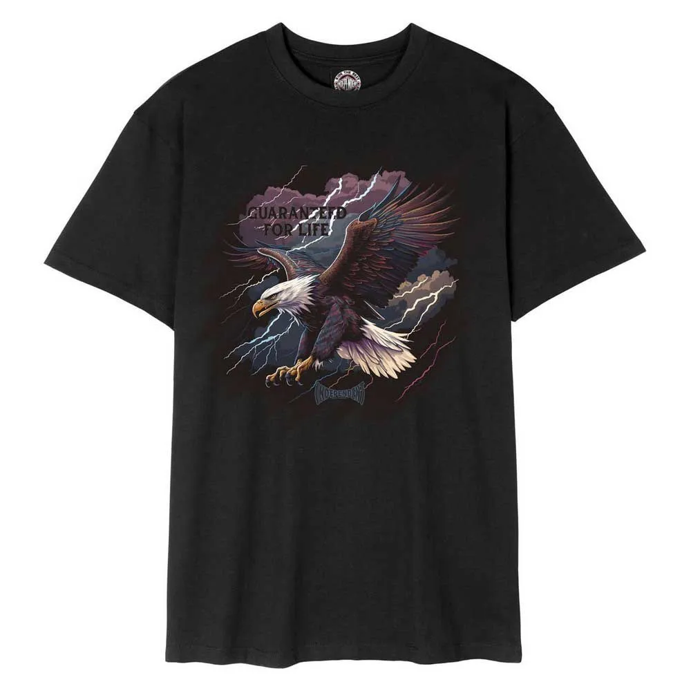 Футболка с коротким рукавом Independent Gfl eagle, черный
Футболка с коротким рукавом Independent Gfl eagle, черный