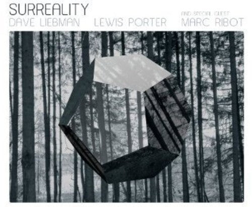 CD диск Liebman, Dave: Surreality
CD диск Liebman, Dave: Surreality