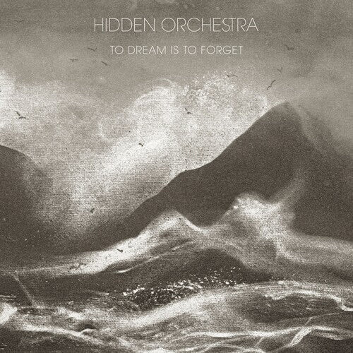 Виниловая пластинка Hidden Orchestra: To Dream Is to Forget
Виниловая пластинка Hidden Orchestra: To Dream Is to Forget