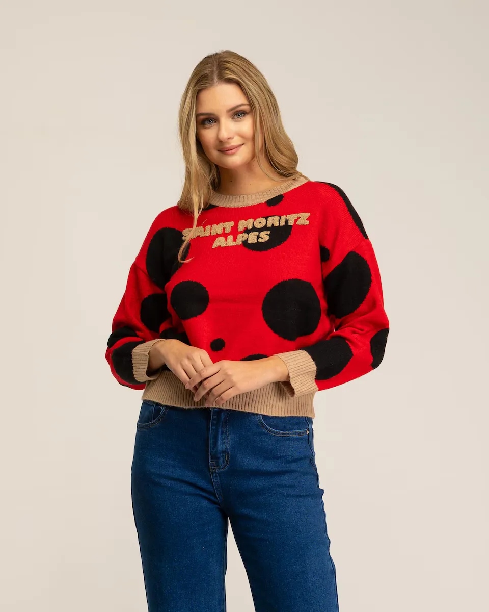 Женский вязаный свитер с горошком и текстовой отделкой Tantra, красный
Женский вязаный свитер с горошком и текстовой отделкой Tantra, красный