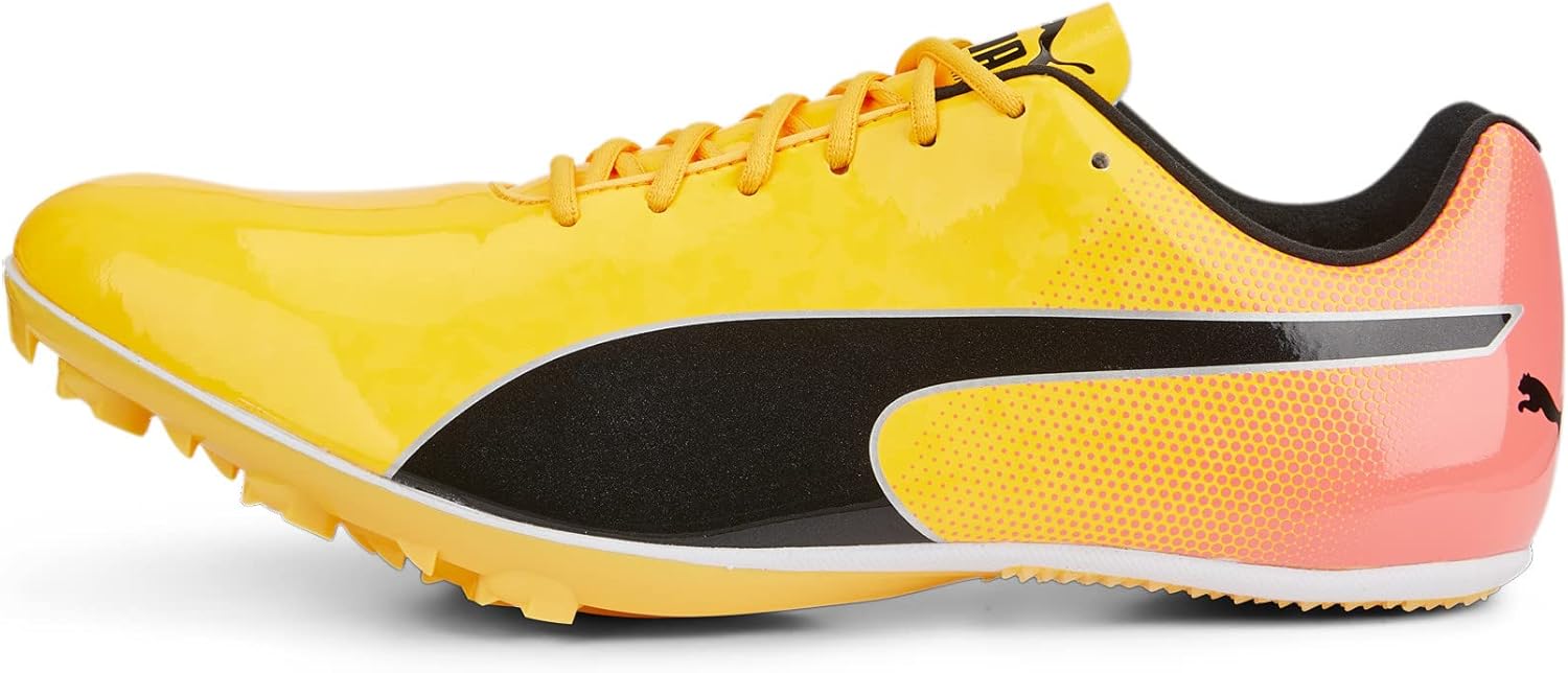 Мужские кроссовки Puma Evospeed Sprint 14, черный
Мужские кроссовки Puma Evospeed Sprint 14, черный