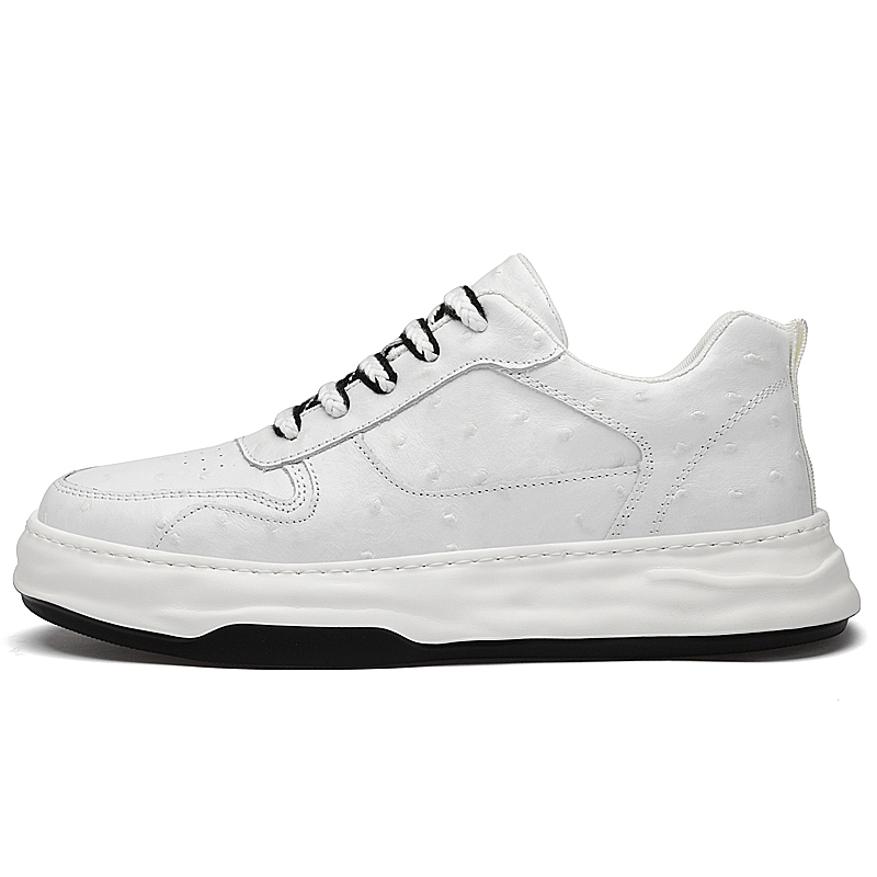 Нескользящие низкие кроссовки для скейтбординга, увеличивающие рост, для мужчин BOLE, White
Нескользящие низкие кроссовки для скейтбординга, увеличивающие рост, для мужчин BOLE, White