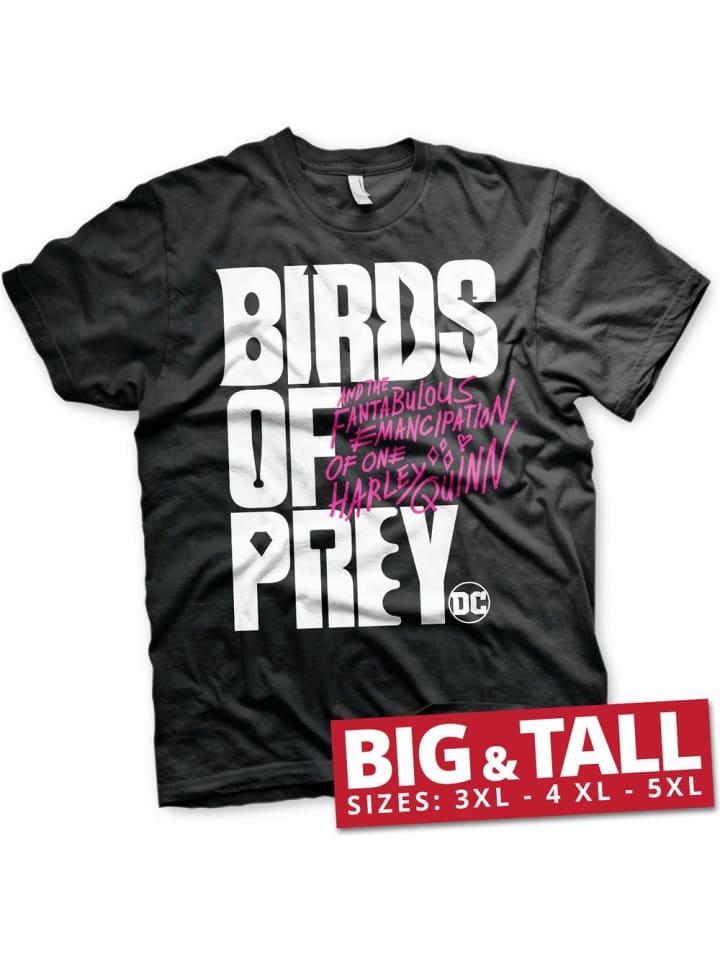 Толстовка с капюшоном DC Birds Of Prey, черный
Толстовка с капюшоном DC Birds Of Prey, черный