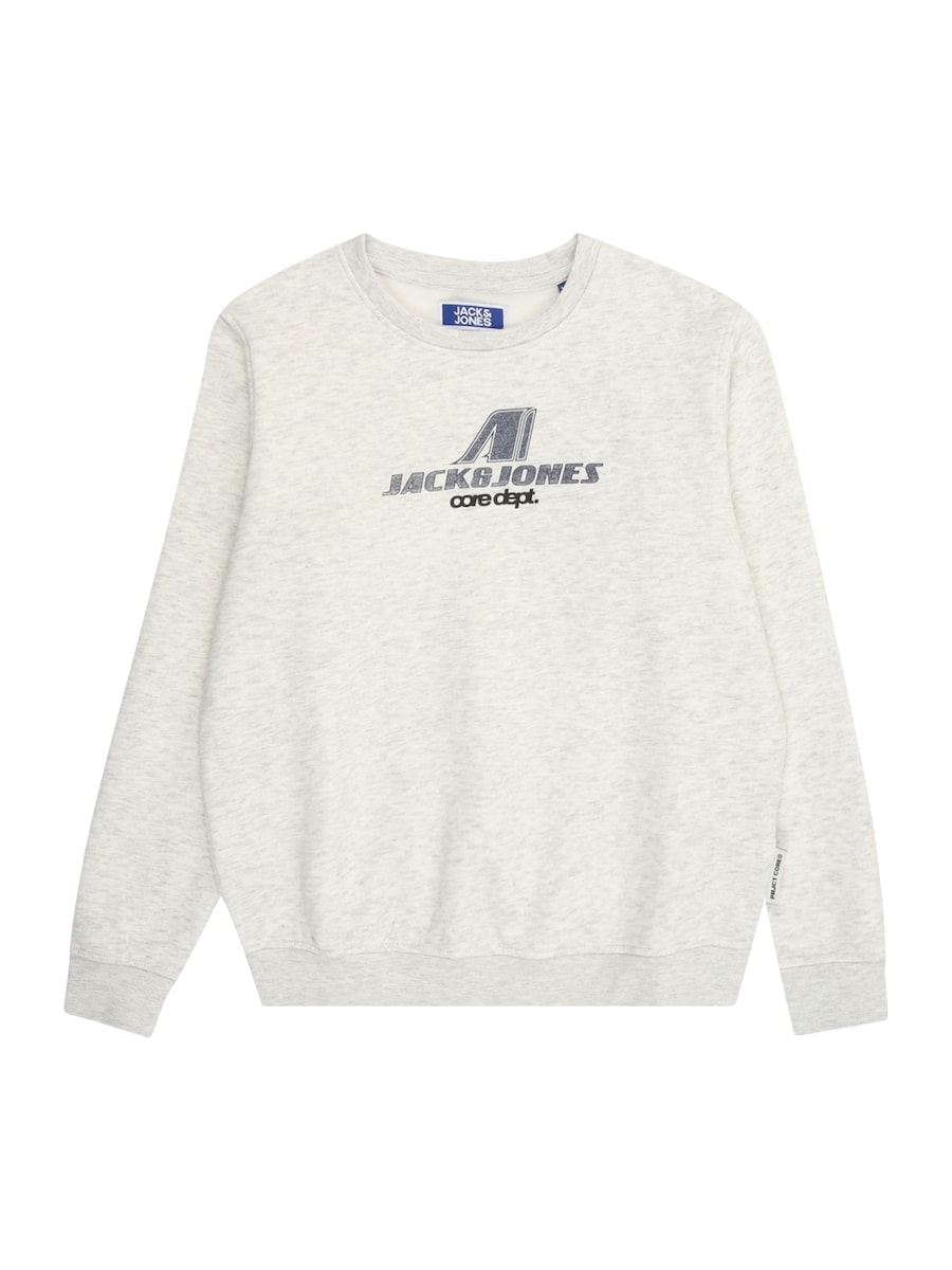 Толстовка Jack & Jones Junior JCOTier, Mottled White
Толстовка Jack & Jones Junior JCOTier, Mottled White
