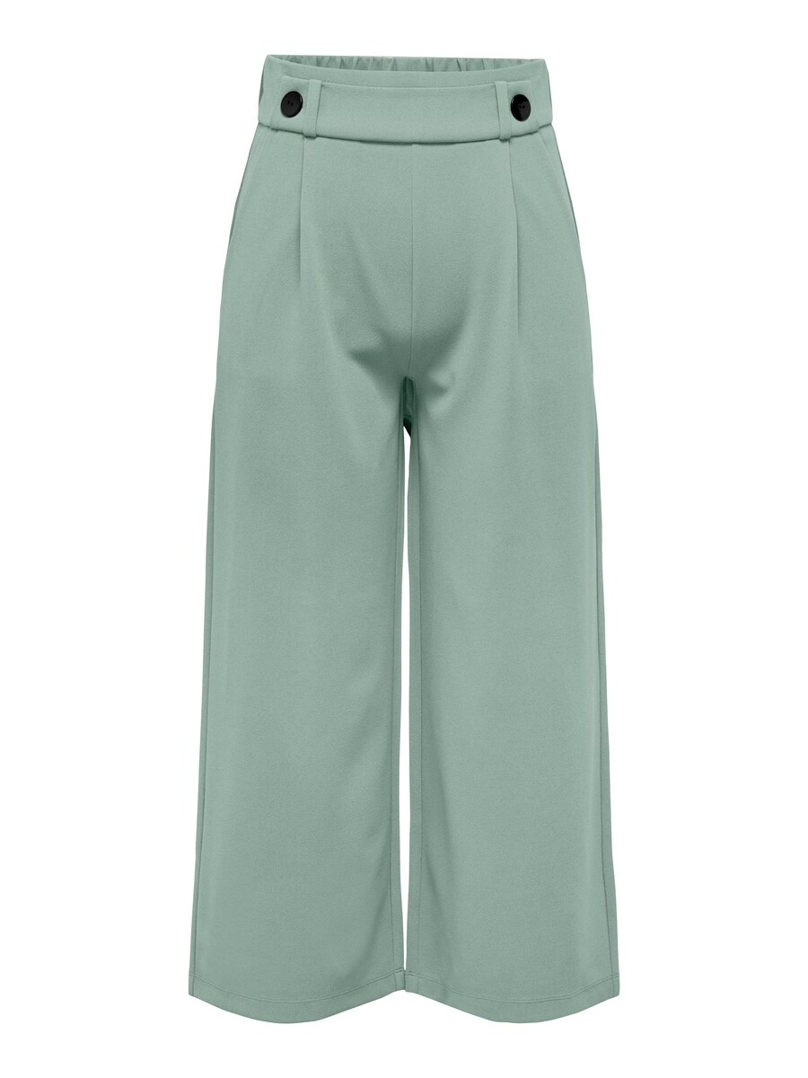 Широкие брюки со складкой спереди JDY GEGGO, мятный
Широкие брюки со складкой спереди JDY GEGGO, мятный