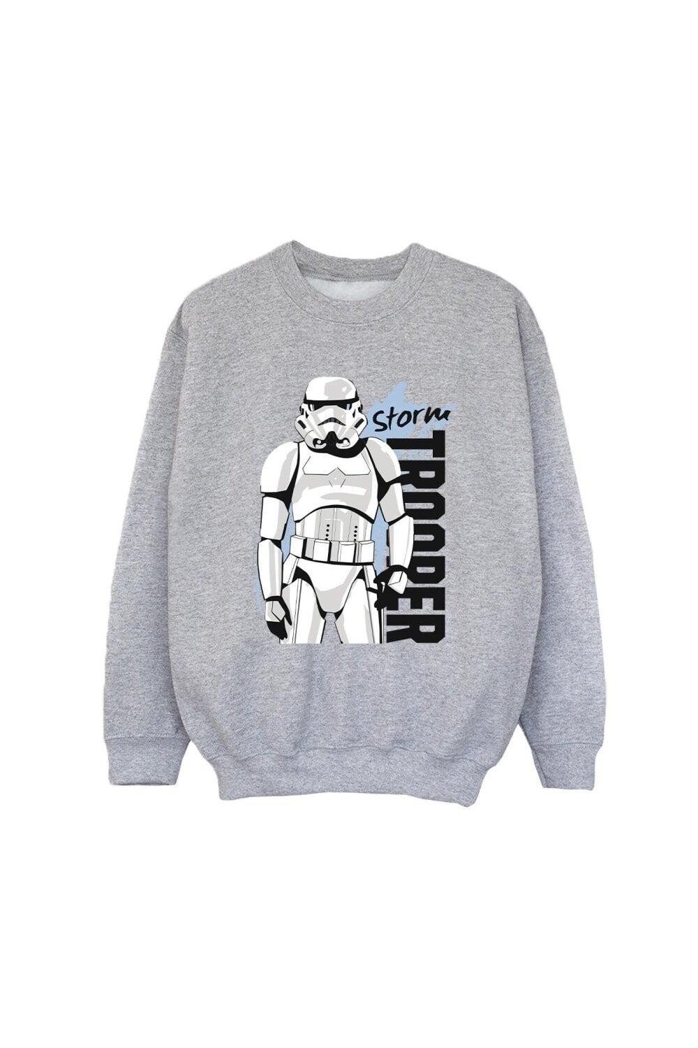 Толстовка штурмовика Star Wars, серый
Толстовка штурмовика Star Wars, серый