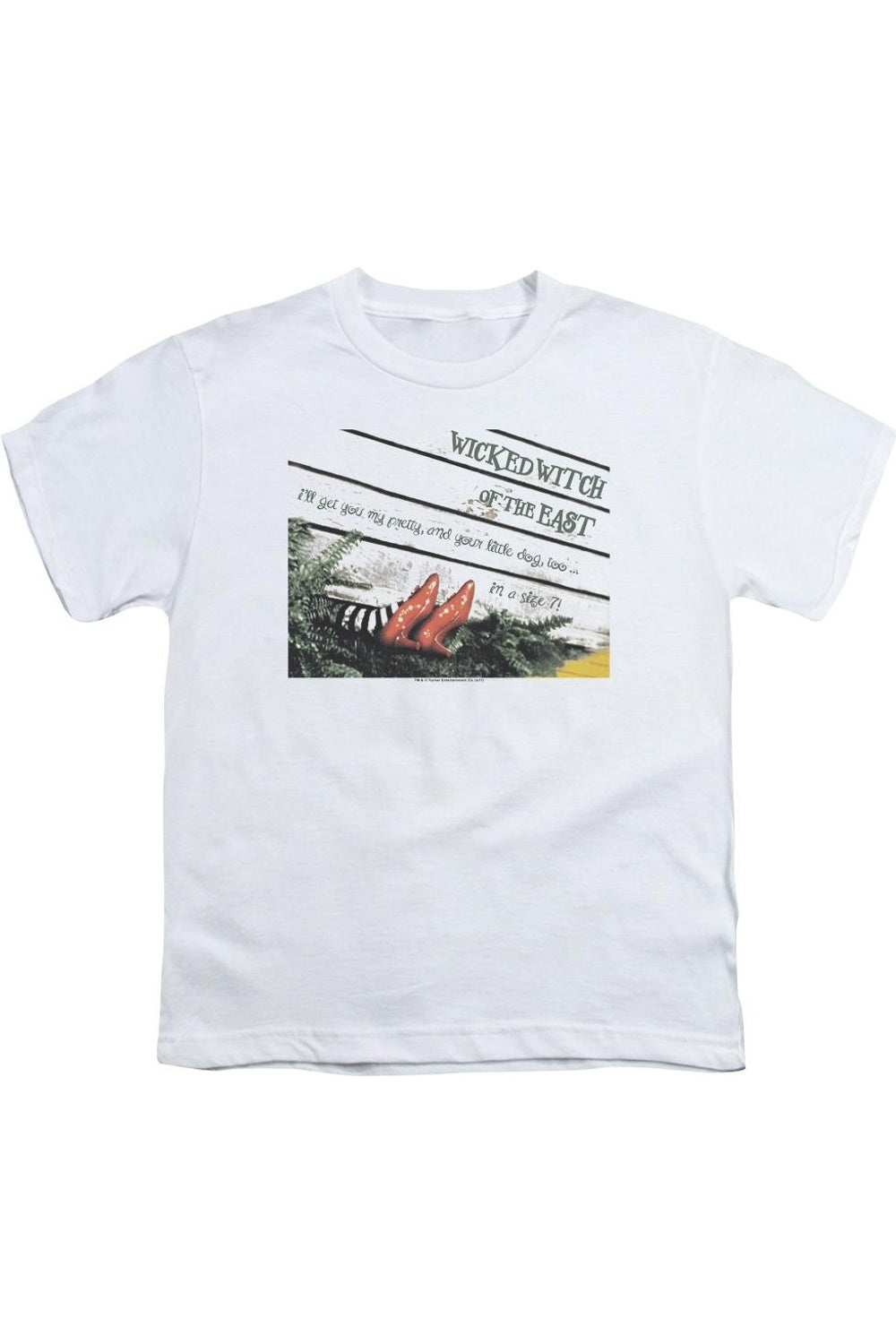 Футболка с коротким рукавом Wizard Of Oz, размер 7, детская Gildan, белый
Футболка с коротким рукавом Wizard Of Oz, размер 7, детская Gildan, белый