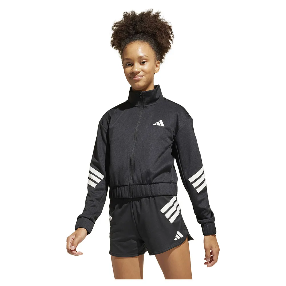 Толстовка adidas All Sports NXT full zip, черный
Толстовка adidas All Sports NXT full zip, черный