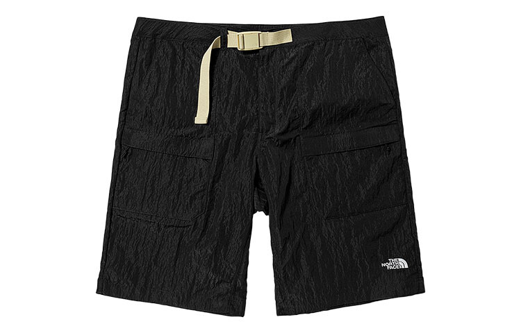 THE NORTH FACE Мужские повседневные шорты, цвет Black
THE NORTH FACE Мужские повседневные шорты, цвет Black