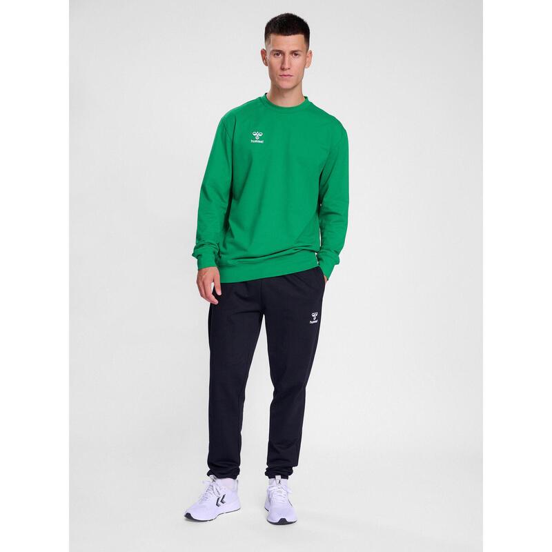 Спортивная толстовка Hummel, цвет smaragdgrün
Спортивная толстовка Hummel, цвет smaragdgrün