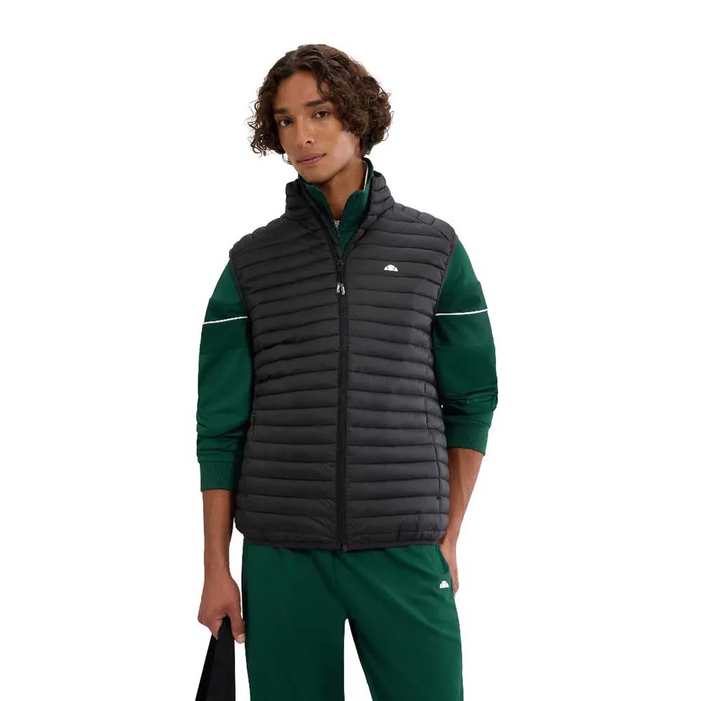 Жилет Ellesse Pal Padded, черный
Жилет Ellesse Pal Padded, черный