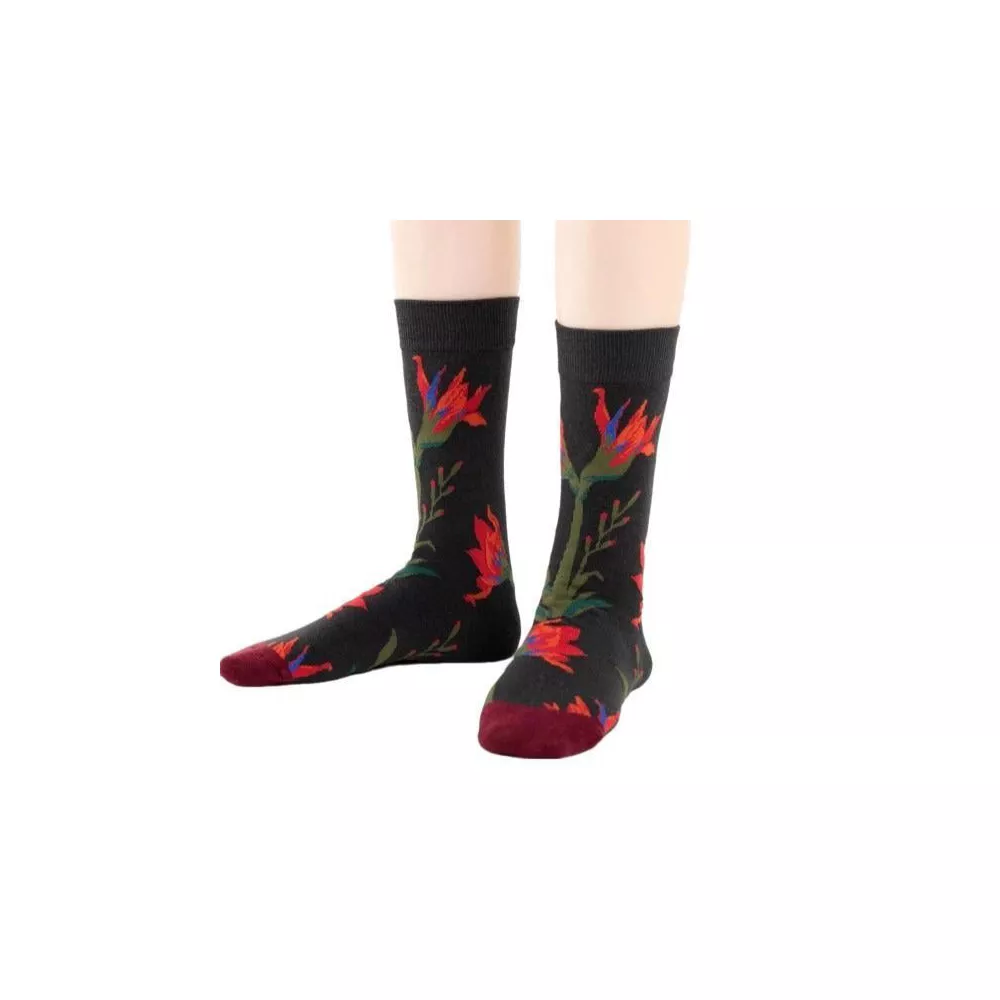 Носки с принтом «Гладиолус» (женские размеры, взрослые, средние) от Sock Panda
Носки с принтом «Гладиолус» (женские размеры, взрослые, средние) от Sock Panda