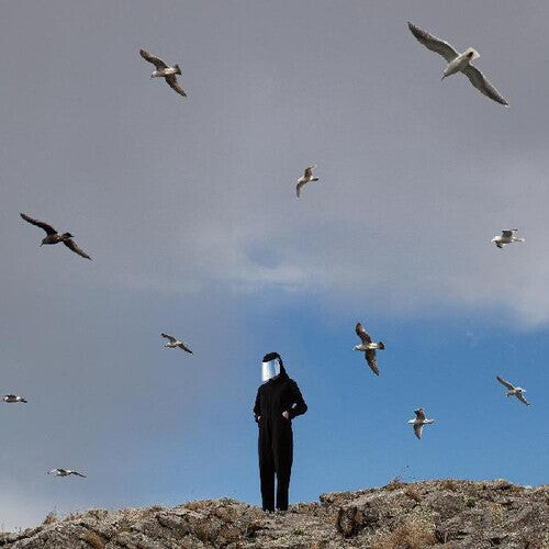 Виниловая пластинка Hamerkop: Remote
Виниловая пластинка Hamerkop: Remote