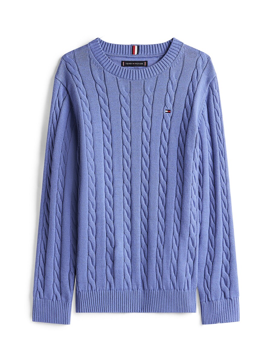 Свитер TOMMY HILFIGER, фиолетовый
Свитер TOMMY HILFIGER, фиолетовый