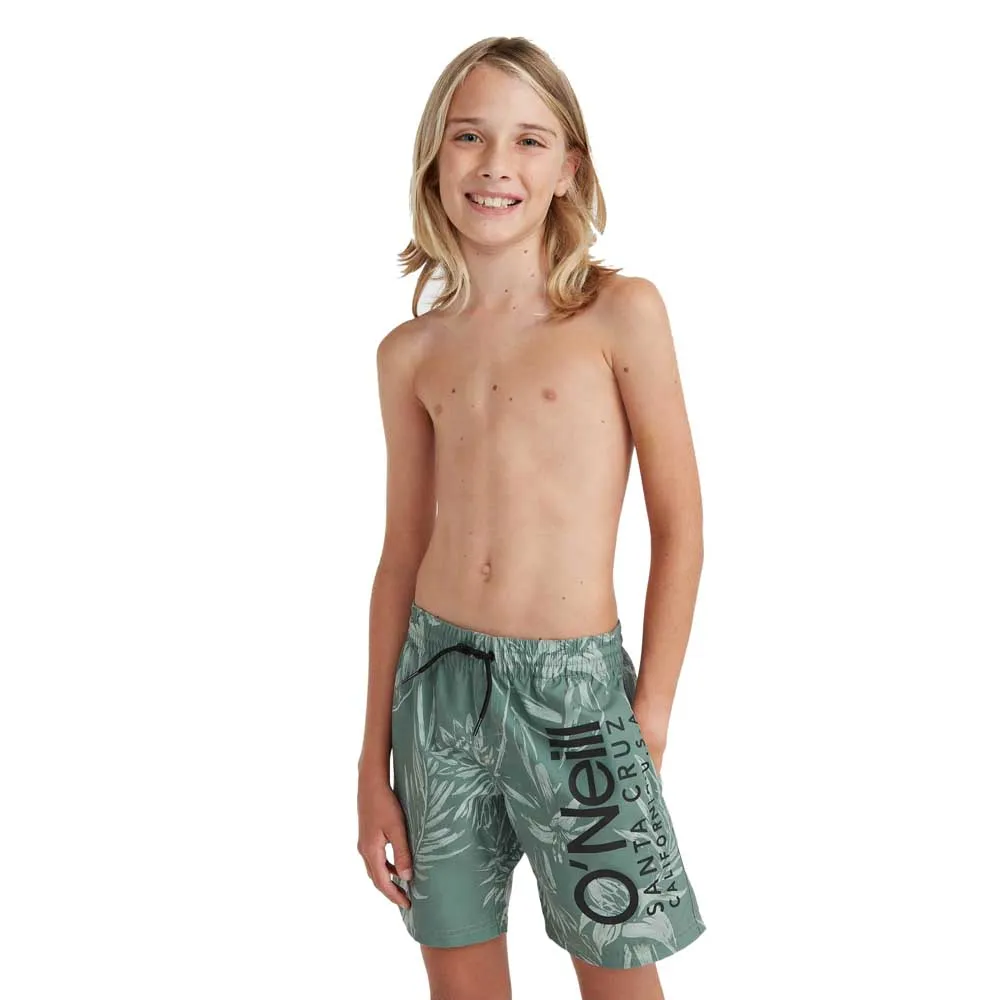 Шорты для плавания OВґneill Mix&Match Cali Floral 14В'', зеленый
Шорты для плавания OВґneill Mix&Match Cali Floral 14В'', зеленый
