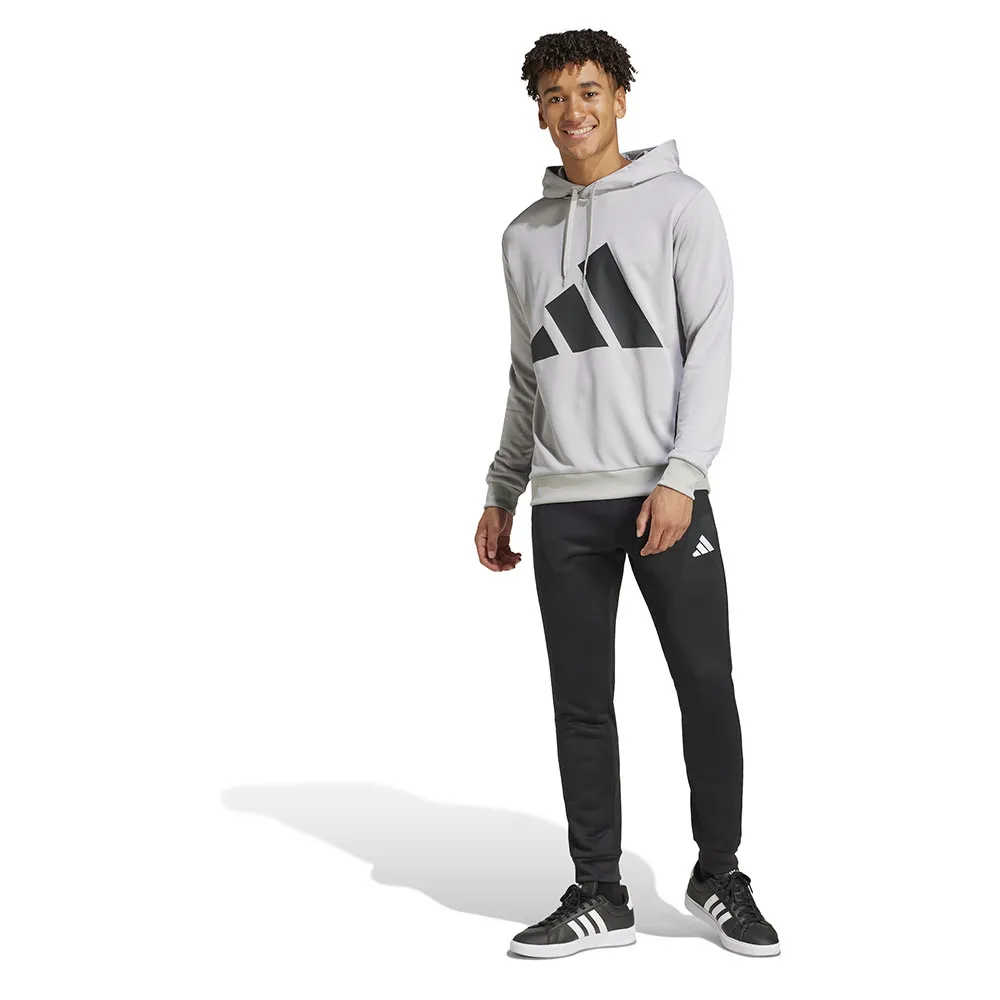 Спортивный костюм adidas Sportswear Big Logo French Terry, серый
Спортивный костюм adidas Sportswear Big Logo French Terry, серый