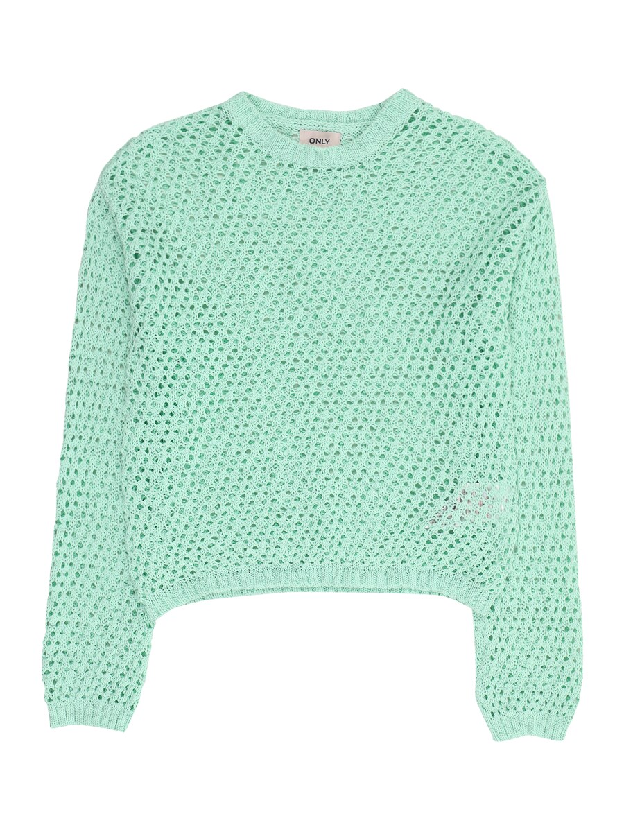 Свитер KIDS ONLY KOGDONNA, светло-зеленый
Свитер KIDS ONLY KOGDONNA, светло-зеленый