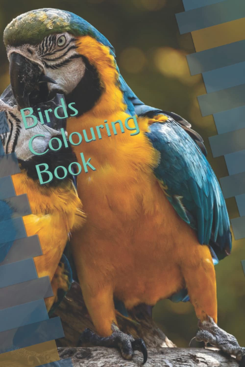Birds Colouring Book
Birds Colouring Book