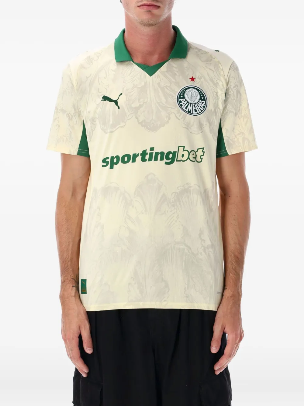 Футболка SE Palmeiras Jersey Replica из коллаборации с KidSuper Studios PUMA, нейтральный
Футболка SE Palmeiras Jersey Replica из коллаборации с KidSuper Studios PUMA, нейтральный