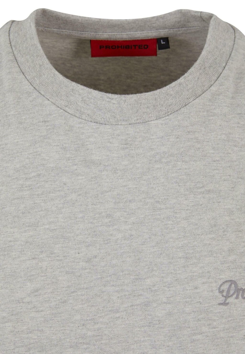Принт на футболке PROHIBITED, серый 
Принт на футболке PROHIBITED, серый