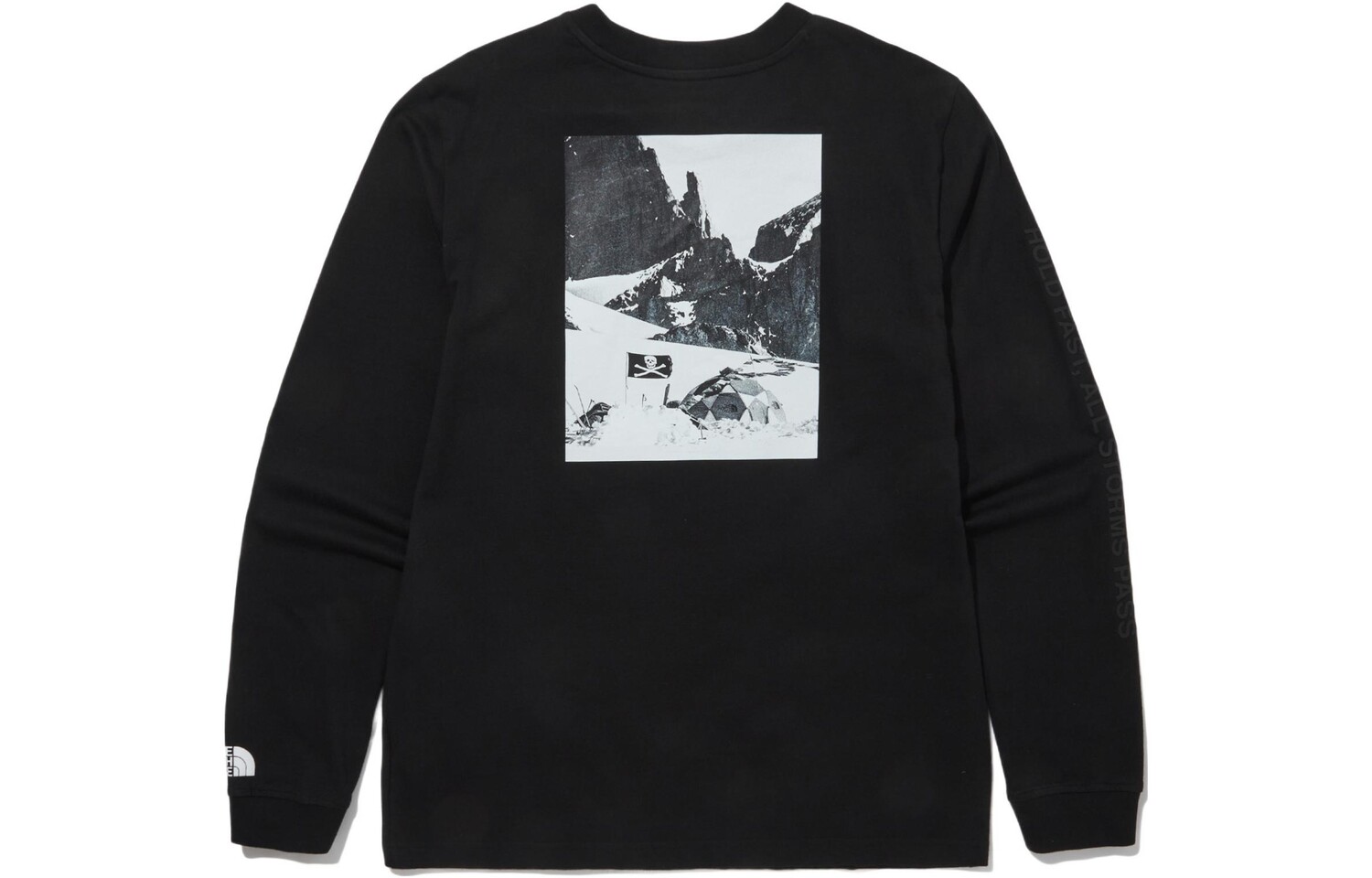 THE NORTH FACE Мужская футболка, цвет Black
THE NORTH FACE Мужская футболка, цвет Black