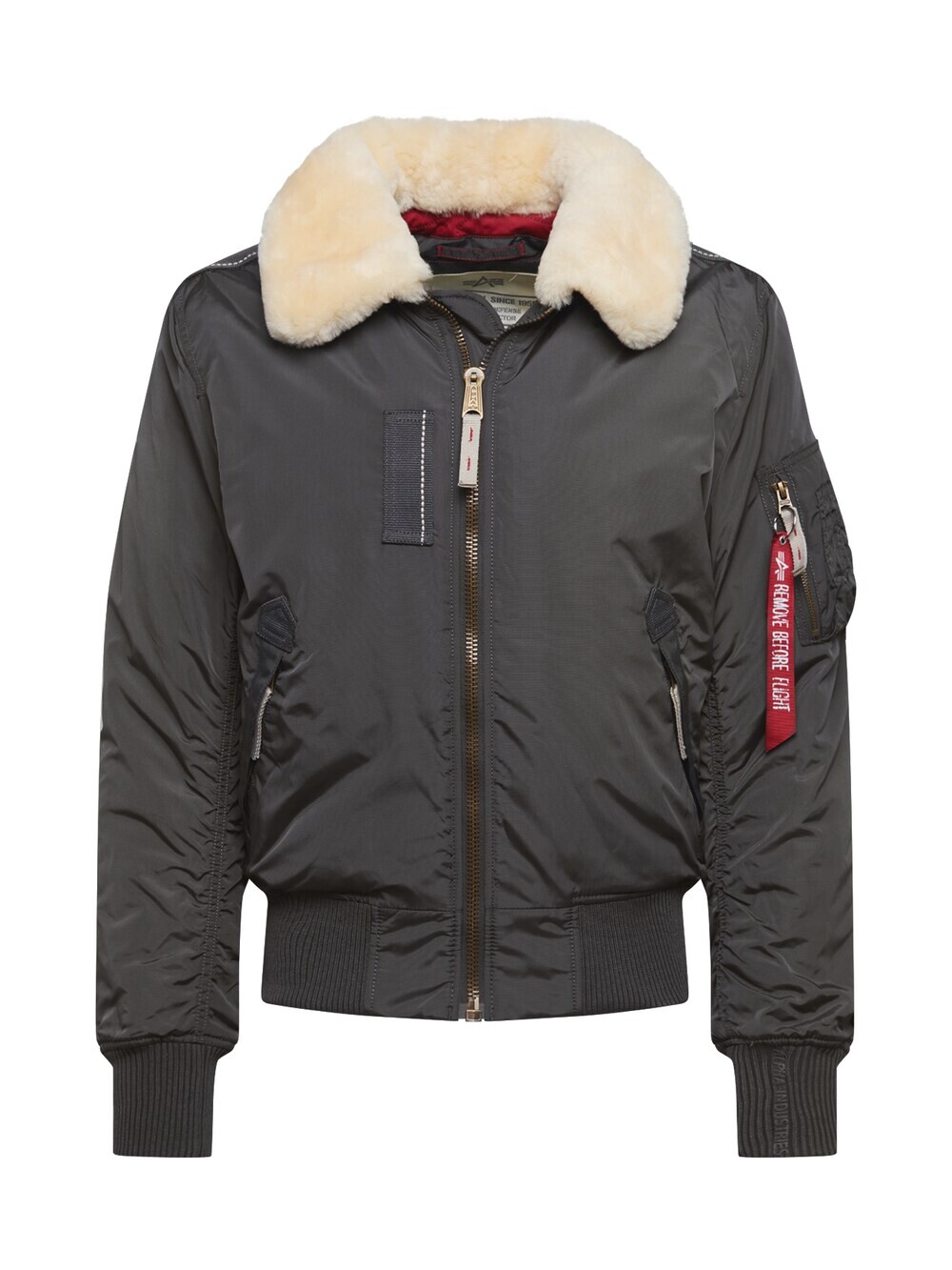 Межсезонная куртка Alpha Industries Injector III, темно-серый 
Межсезонная куртка Alpha Industries Injector III, темно-серый