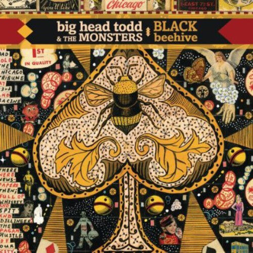 CD диск Big Head Todd & the Monsters: Black Beehive
CD диск Big Head Todd & the Monsters: Black Beehive