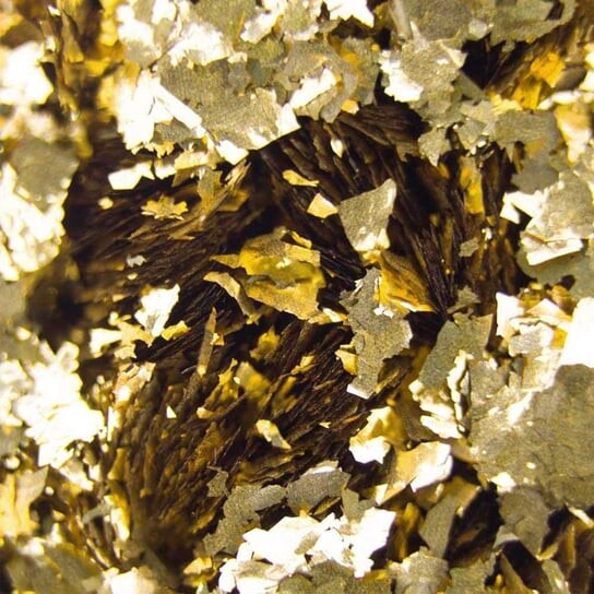 Пудра для ногтей Металлик П, Molly Lac
Пудра для ногтей Металлик П, Molly Lac