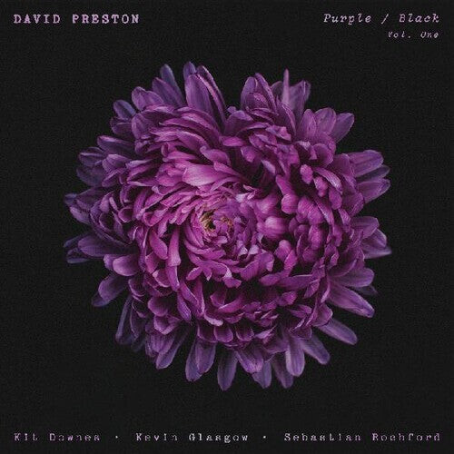 Виниловая пластинка Preston, David: Purple / Black Vol.1
Виниловая пластинка Preston, David: Purple / Black Vol.1